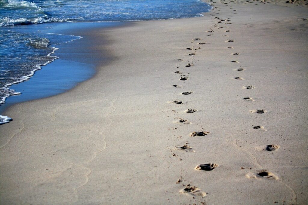 footprints, sand, sea, ocean, tracks in the sand, sense, beach, nature, sandy beach